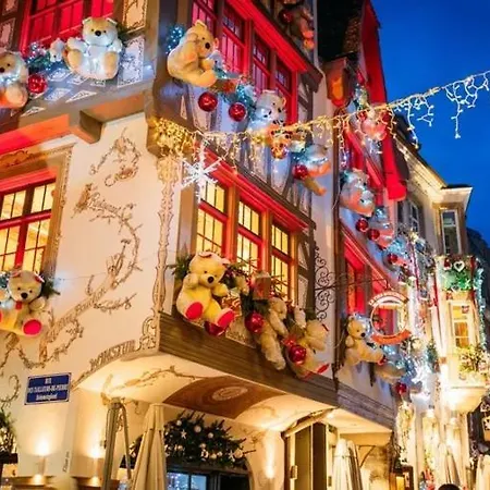 Charming 5 Minutes From Strasbourg-wacken Apartament Schiltigheim